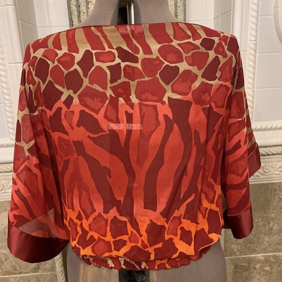 Express. Sz Large. Silk Blouson BOHO Peasant Lined Semi Sheer Chiffon Top. B55 - Picture 5 of 8